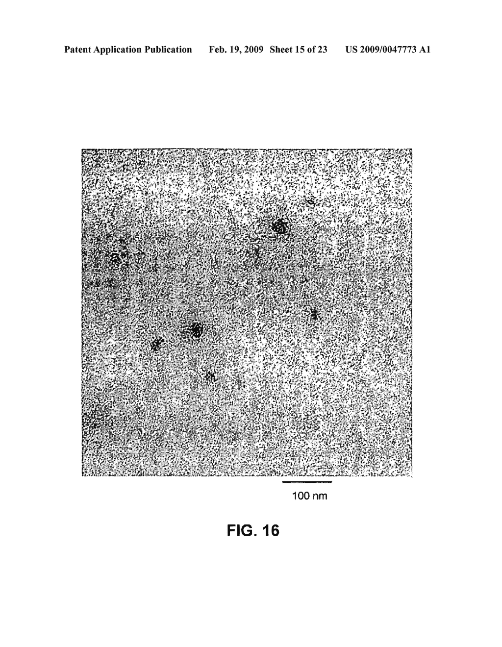 METHOD OF FORMING STABLE FUNCTIONALIZED NANOPARTICLES - diagram, schematic, and image 16