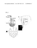 ATOMIC FORCE MICROSCOPE AS AN ANALYZING TOOL FOR BIOCHIP diagram and image