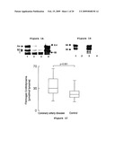 Materials and Methods for the Detection of Nitrated Fibrinogen diagram and image