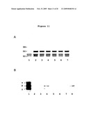 Materials and Methods for the Detection of Nitrated Fibrinogen diagram and image