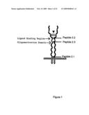 Cytokine receptor modulators and uses thereof diagram and image