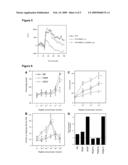 TARGET FOR ANTI-ANGIOGENESIS THERAPY diagram and image