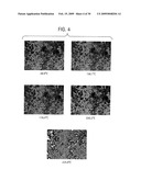 NOVEL FORMS OF CDDO METHYL ESTER diagram and image