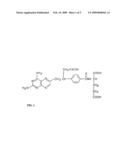 COMBINATION OF 10-PROPARGYL-10-DEAZAAMINOPTERIN AND ERLOTINIB FOR THE TREATMENT OF NON-SMALL CELL LUNG CANCER diagram and image