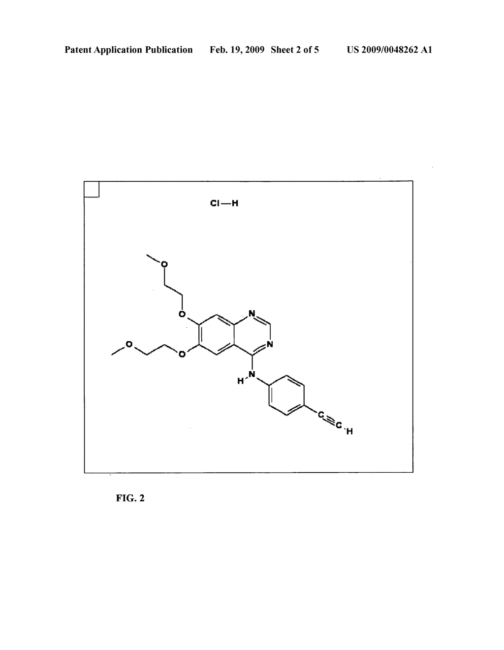 COMBINATION OF 10-PROPARGYL-10-DEAZAAMINOPTERIN AND ERLOTINIB FOR THE TREATMENT OF NON-SMALL CELL LUNG CANCER - diagram, schematic, and image 03