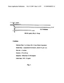 Parenteral and oral formulations of benzimidazoles diagram and image