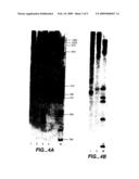 HYBRIDIZATION AND MISMATCH DISCRIMINATION USING OLIGONUCLEOTIDES CONJUGATED TO MINOR GROOVE BINDERS diagram and image