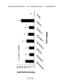 Oligonucleotide modulation of cell adhesion diagram and image