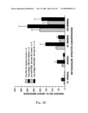 Oligonucleotide modulation of cell adhesion diagram and image