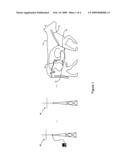 System and method of monitoring an animal diagram and image