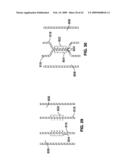 APPARATUS AND METHOD FOR MAGNETIC ALTERATION OF ANATOMICAL FEATURES diagram and image