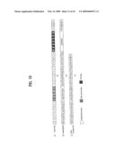 DIGITAL BROADCASTING SYSTEM AND DATA PROCESSING METHOD diagram and image