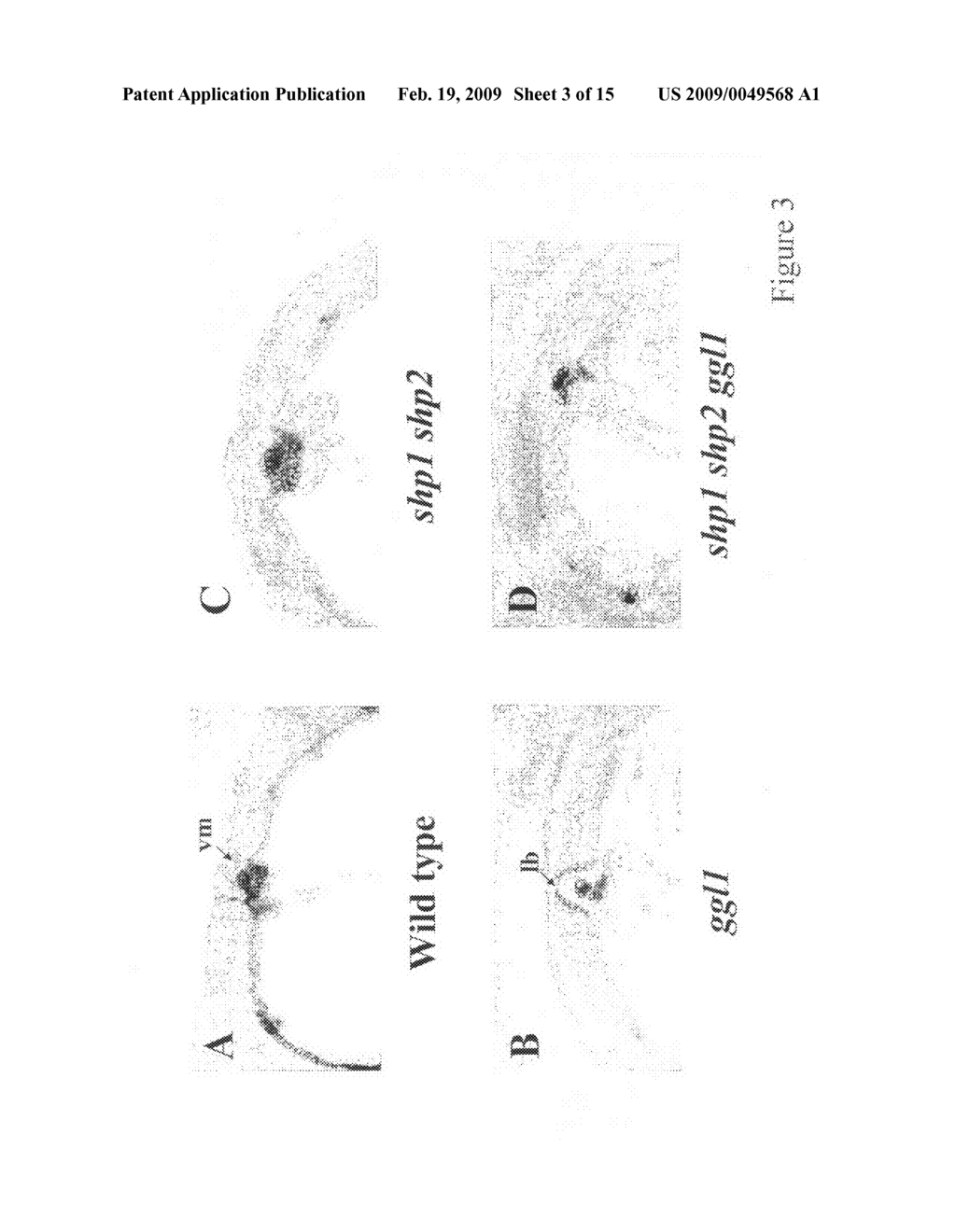 METHOD FOR PREVENTING DEHISCENCE AND ALTERING PLANT LIGNIFICATION - diagram, schematic, and image 04