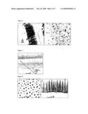 PHOTOVOLTAIC DEVICE USING NANOSTRUCTURED MATERIAL diagram and image