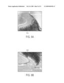 Serpentine structures for continuous flow particle separations diagram and image