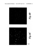 Gamma camera including a scintillator and an image intensifier diagram and image