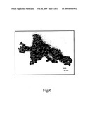 METAL OXIDE NANO-COMPOSITE MAGNETIC MATERIAL, FABRICATION METHOD, AND METHOD FOR LINKAGE, ENRICHMENT, AND ISOLATION OF PHOSPHORYLATED SPECIES diagram and image