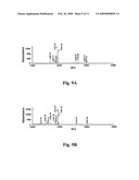 METAL OXIDE NANO-COMPOSITE MAGNETIC MATERIAL, FABRICATION METHOD, AND METHOD FOR LINKAGE, ENRICHMENT, AND ISOLATION OF PHOSPHORYLATED SPECIES diagram and image