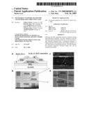 Transparent Nanowire Transistors and Methods for Fabricating Same diagram and image