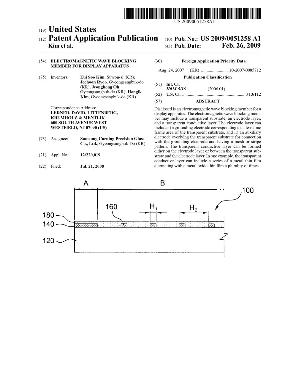 Electromagnetic wave blocking member for display apparatus - diagram, schematic, and image 01