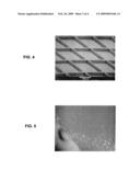 Flexible Electrophoretic-Type Display diagram and image