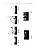 EMBEDDED NANOPARTICLE FILMS AND METHOD FOR THEIR FORMATION IN SELECTIVE AREAS ON A SURFACE diagram and image