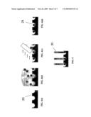 EMBEDDED NANOPARTICLE FILMS AND METHOD FOR THEIR FORMATION IN SELECTIVE AREAS ON A SURFACE diagram and image