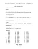 Rational evolution of cytokines for higher stability, the cytokines and encoding nucleic acid molecules diagram and image