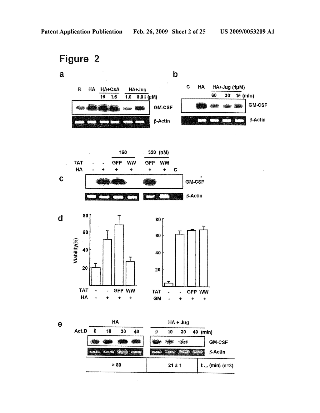 Blockade of Pin1 Prevents Cytokine Production by Activated Immune Cells - diagram, schematic, and image 03