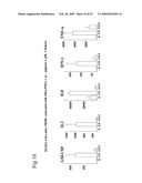 Blockade of Pin1 Prevents Cytokine Production by Activated Immune Cells diagram and image