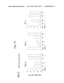 Blockade of Pin1 Prevents Cytokine Production by Activated Immune Cells diagram and image