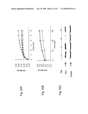 Blockade of Pin1 Prevents Cytokine Production by Activated Immune Cells diagram and image