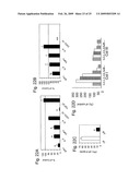 Blockade of Pin1 Prevents Cytokine Production by Activated Immune Cells diagram and image