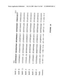 Compositions and methods for transepithelial molecular transport diagram and image