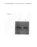 Compositions and methods for transepithelial molecular transport diagram and image