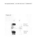 Compositions and methods for transepithelial molecular transport diagram and image