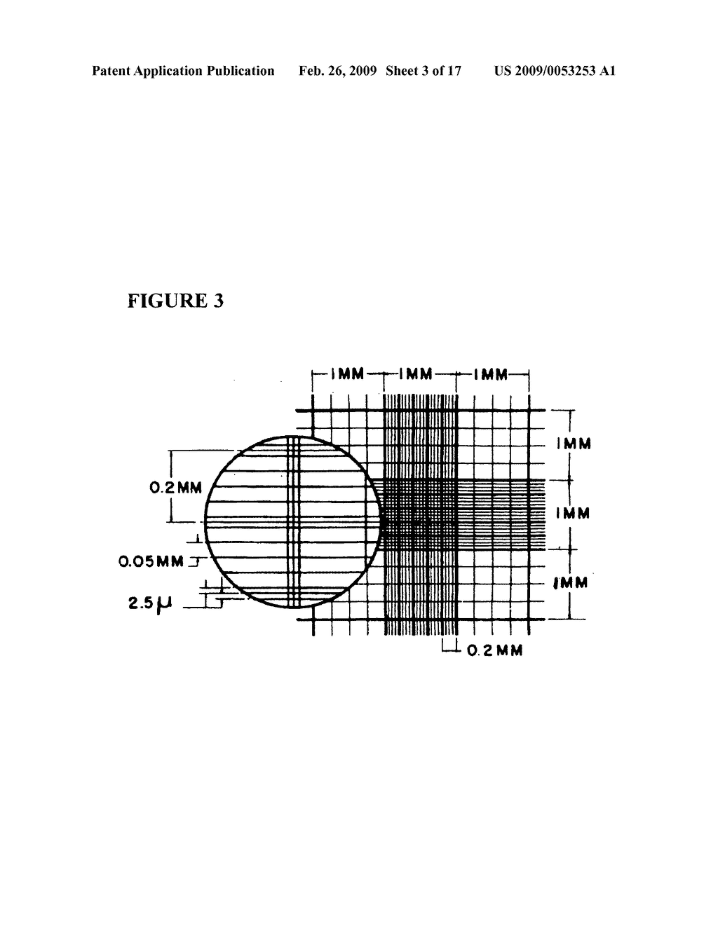 Process for the measurement of the potency of glatiramer acetate - diagram, schematic, and image 04