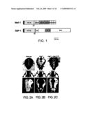 Pharmaceutical Compositions for Treating or Preventing Bone Conditions diagram and image