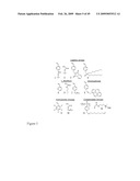 MULTIFUNCTIONAL POLYMER COATED MAGNETIC NANOCOMPOSITE MATERIALS diagram and image