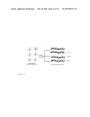 MULTIFUNCTIONAL POLYMER COATED MAGNETIC NANOCOMPOSITE MATERIALS diagram and image