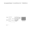 MULTIFUNCTIONAL POLYMER COATED MAGNETIC NANOCOMPOSITE MATERIALS diagram and image