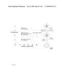 MULTIFUNCTIONAL POLYMER COATED MAGNETIC NANOCOMPOSITE MATERIALS diagram and image