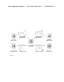 MULTIFUNCTIONAL POLYMER COATED MAGNETIC NANOCOMPOSITE MATERIALS diagram and image