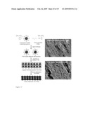 MULTIFUNCTIONAL POLYMER COATED MAGNETIC NANOCOMPOSITE MATERIALS diagram and image