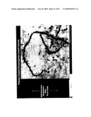 MULTIFUNCTIONAL POLYMER COATED MAGNETIC NANOCOMPOSITE MATERIALS diagram and image