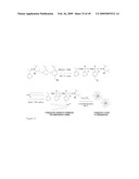 MULTIFUNCTIONAL POLYMER COATED MAGNETIC NANOCOMPOSITE MATERIALS diagram and image