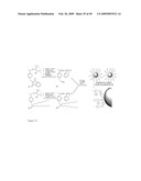 MULTIFUNCTIONAL POLYMER COATED MAGNETIC NANOCOMPOSITE MATERIALS diagram and image