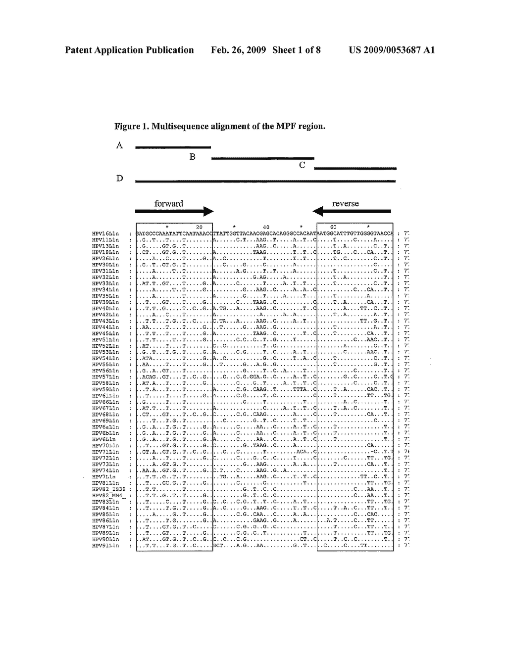 METHOD FOR THE DETECTION OF HPV AND PROBES, PRIMERS AND KITS - diagram, schematic, and image 02