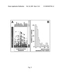 DNA METHYLATION MARKERS ASSOCIATED WITH THE CPG ISLAND METHYLATOR PHENOTYPE (CIMP) IN HUMAN COLORECTAL CANCER diagram and image