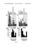 DNA METHYLATION MARKERS ASSOCIATED WITH THE CPG ISLAND METHYLATOR PHENOTYPE (CIMP) IN HUMAN COLORECTAL CANCER diagram and image